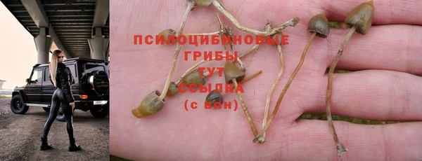 молекула духа Алексин