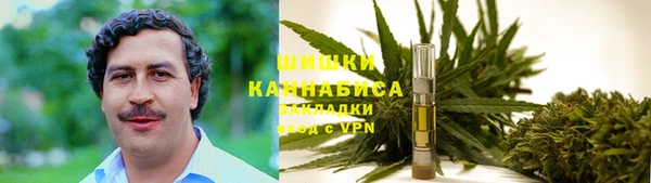 мяу мяу мука Арсеньев