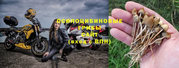 индика Алзамай