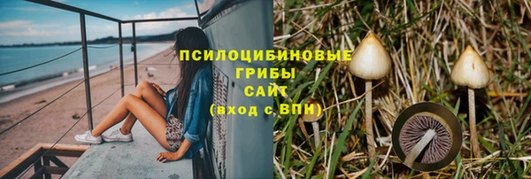 индика Алзамай