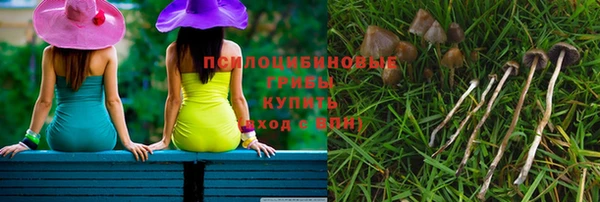 индика Алзамай