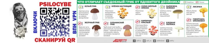OMG ссылки  Нижнеудинск  Псилоцибиновые грибы Magic Shrooms 